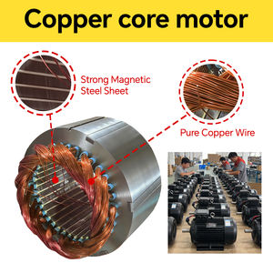 Fieno foraggio di mais gambo erba frantoio Chopper macchina pula taglierina macchina per l'alimentazione animale 12,15 Ton/h Maquina Picadora De Pasto - Product Image 6