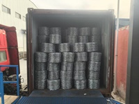 Fil barbelé galvanisé pour clôture agricole, 500 m, 20 kg par rouleau, rouleau de fil barbelé, fil barbelé rasoir, vente directe usine
