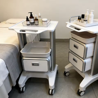Lit de massage multifonctionnel à quatre roues moderne et élégant, armoire assortie, chariot de beauté, chariot mobile