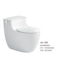 Ensemble de cuvette de toilette en forme d'oeuf Junior Egg Toilette Siphon-jet Placard d'eau Monté au sol