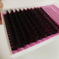 Faux Cils en Touffes Individuelles Étiquette Privée Personnalisée DIY Cils Effet Volume avec Bases
