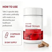 Complément alimentaire à base d'oxyde nitrique pour la circulation sanguine, 60 capsules, soutien naturel à base de plantes pour une circulation sanguine saine, complément alimentaire