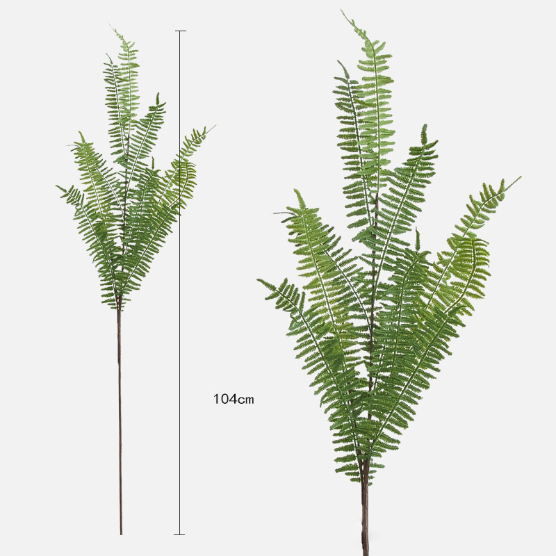 12-leaf 3-pronged long-stalked venus fern