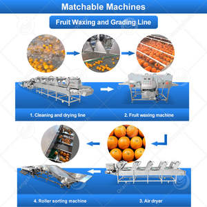 ORME Fruit Grade Calibration Size <b>Machine</b> <b>Mini</b> Apple Sorter Electronic Apple Sort <b>Machine</b> for Orange - Product Image 5