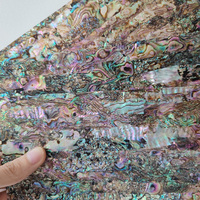 Coquilles brutes de nacre naturelle, coquille d'ormeau, papier peint pour ongles, guitare, décoration de la maison
