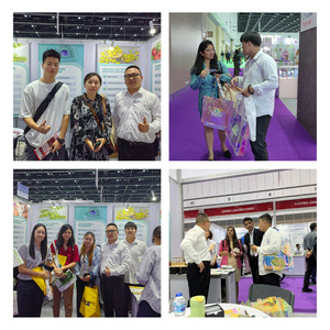 Vente en gros de protéines de lactosérum, protéines de lactosérum <span class=keywords><strong>Gold</strong></span> <span class=keywords><strong>Standard</strong></span>, protéines de lactosérum en poudre biologiques - Product Image 4