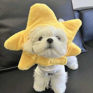 Heybo Cute Cross-Dressing Headgear Mascotas Ropa <span class=keywords><strong>de</strong></span> invierno Accesorio Tamaño pequeño Gatos Perros Patrón sólido Gatito Sombrero personalizado - Product Image 6