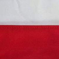 Sac non tissé avec poignée de 4 pièces avec logo sac non tissé sac fourre-tout non tissé personnalisé sacs en polypropylène 25cm x 47cm non tissé