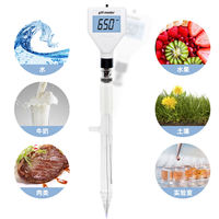 PH-mètre personnalisable testeur de qualité de l'eau pour fruits sol viande eau lait cosmétiques support OEM