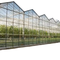 FUMA FM-MFMS Commerciële Multi-span Venlo-type kas met polycarbonaat platen voor hydroponie