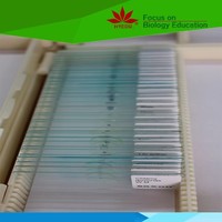 Ourself factory individual Skeletal Muscle l.s and c.s prepared microscope slide