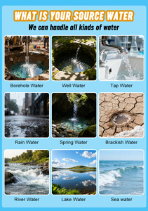 Sistema de Filtración de Agua por Ósmosis Inversa de Alta Pureza Two Whale, 3kW de Potencia, Capacidad Personalizable, Certificado CE ISO9001 - Product Image 4