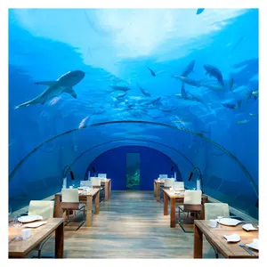 תוצרת סין Lucite גדול מעוקל אקריליק אקווריום מנהרה - Product Image 1