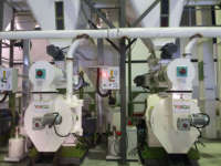 Machine de fabrication de granulés de bois YONGLI haute productivité 1t/h à matrice annulaire, avec moteur SIEMENS, roulement à engrenages et lubrification automatique