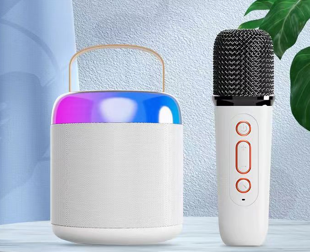 Portable Karaoke Speaker With Wireless Mic Rechargeable Speaker With Microphone Bocinas Bluetooth