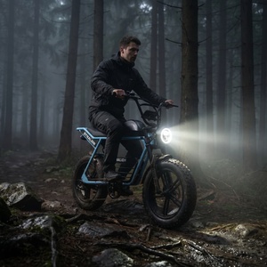 จักรยานไฟฟ้ามอเตอร์ไร้แปรงถ่าน 48V 16Ah ยางใหญ่ พร้อมไฟหน้า LED และแตร สำหรับการล่าสัตว์และการเดินทางในป่า - Product Image 6