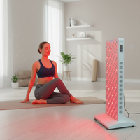 Panneau de luminothérapie LED ML300 rouge 660nm/850nm pour usage domestique, spa et salon, avec prise US