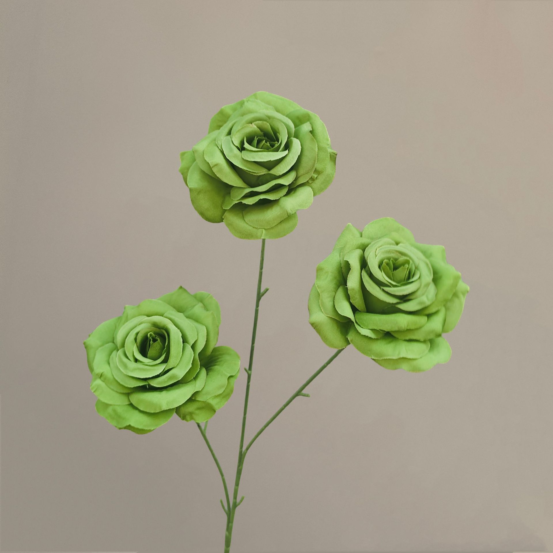 Diamants à 3 têtes [sans feuilles] vert rose