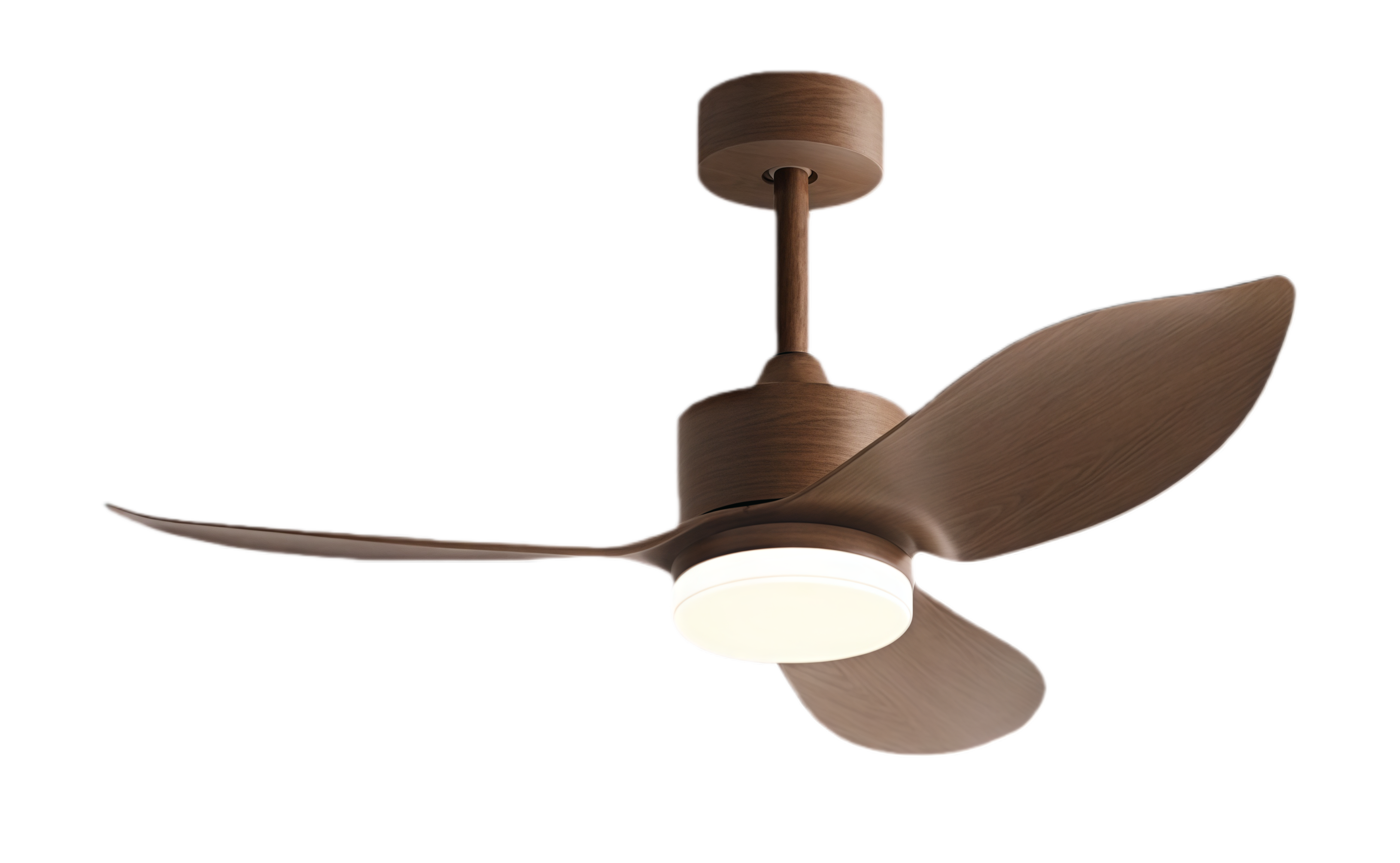 ไม้วอลนัททั้งตัว