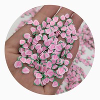 500G 5Mm 10Mm Perzik Polymeer Klei Plakjes Voor Diy Ambachten Klei Modder Slijm Fruit Klei Hagelslag Thuis Miniatuur Voedsel Decor