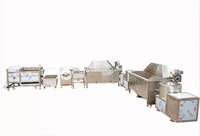 Automatische diepvriesfriet verwerkingslijn friteuse, food grade roestvrij staal, hoge efficiëntie, capaciteit 7200kg/uur, geschikt voor fruit en groenten