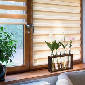 Desktop impianto di vetro stazione di propagazione con 5 provette in legno per interni con supporto a parete appesa fioriera di vetro portavaso - Product Image 6