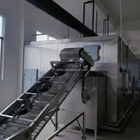 Vicmai Automatische Tunnel Vriesmachine voor Groenten en Fruit, Vloeibaar Continue Snelle Vriesmachine IQF, 100-5000kg/u erwten, sperziebonen
