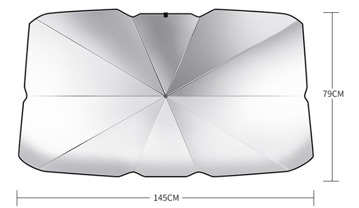 140 x 79 cm (55 x 31 pollici)