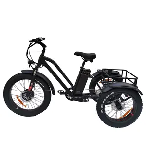 Suministro de fábrica de tres ruedas 500W 750W e-bike Nexus para adultos de 7 velocidades con triciclo eléctrico diferencial triciclo eléctrico de neumáticos gruesos