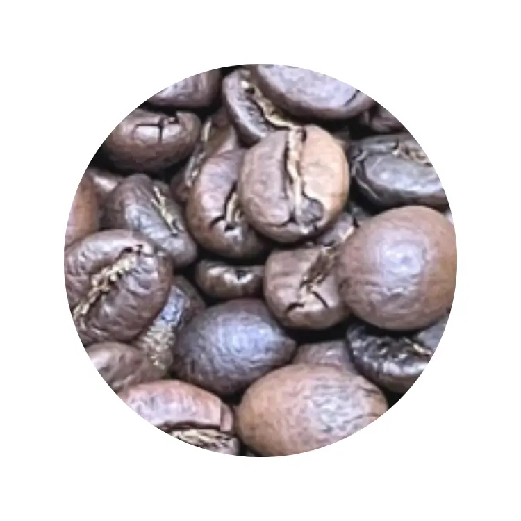 Arabica torréfié Catimor matériau entièrement lavé grains de café durables café de marque privée torréfié Logo personnalisé café vietnamien