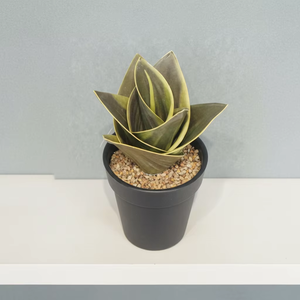 Planta Artificial de <span class=keywords><strong>Sansevieria</strong></span> Trifasciata en Maceta Negra, Planta Serpiente Artificial Variegada para Decoración del Hogar, Oficina, Mesa, Estante - Product Image 2