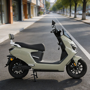 Motocicleta Clásica CKD SKD de 12 Pulgadas, 1100/1300W, Velocidad de 60km/h, para Adultos, en Venta - Product Image 3