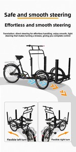 DomeRide Vélo à <span class=keywords><strong>3</strong></span> <span class=keywords><strong>roues</strong></span> professionnel personnalisé pour adultes avec cadre en acier et freins à disque, chariot de nourriture/collations, conception inversée - Product Image 6