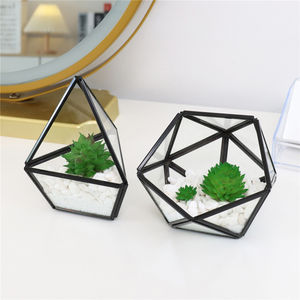 DIY Miniature Verre Géométrique <span class=keywords><strong>Terrarium</strong></span> En Pot Réaliste Artificielle Succulente pour Home Office Décoration de Mariage - Product Image 6