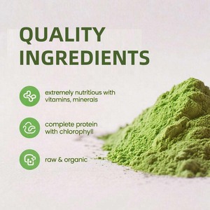 Микроорганический порошок спирулины, вегетарианский источник белка, богатый витаминами, минералами, хлорофиллом и ферментами. - Product Image 4