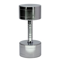 Ensemble d'haltères en métal calibré Premium Fitness 27.5kg miroir très brillant comme de l'acier brillant revêtu de chrome décoratif argenté