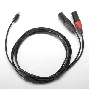 Câble de microphone DC007 Yinyu DDP RTS 2M Type C vers 2 XLR mâles <span class=keywords><strong>pour</strong></span> studio professionnel et enregistrement sonore en direct - Product Image 2
