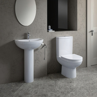 Garde-robe de salle de bain sans monture peu encombrante Toilette sanitaire Dos au mur Toilette en céramique sans réservoir d'eau Toilette Western Piss