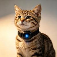 Kalung Pengenal Emosi Hewan Peliharaan AI dengan Material ABS Model B31 Fitur Terjemahan Manusia-Hewan Peliharaan GPS & Interaksi Suara