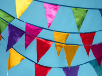 Guirlande de fanions de carnaval triangulaires en gros