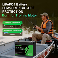 Baterai LiFePO4 HYL 12.8V 100Ah dengan BMS 100A Terintegrasi, 10000 Siklus, Umur Panjang, untuk Sistem Tenaga Surya RV, Motor Trolling, dan Kelautan