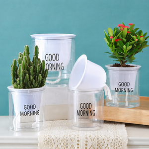 Vaso per Piante Automatico con Assorbimento d'Acqua per Piante Grasse e Rane, Senza Bisogno di Annaffiatura, Fioriera Trasparente a Doppio Strato - Product Image 3