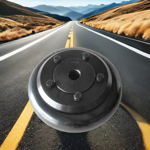 Hot bán F120 F160 B/F/h loại linh hoạt cao su lốp khớp nối F40 F50 F60 F70 F80 F90 F100 F110 F120 F140 F160 F180 F200 F220 - Product Image 6