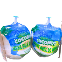 Marque de noix de coco verte fraîche de haute qualité Vietnam International Agriculture Prix de gros pas cher Échantillons gratuits disponibles
