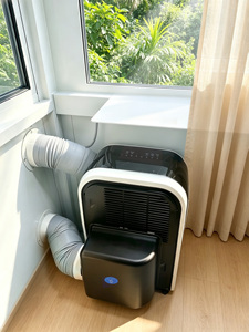 12000btuPortable Air <b>Cooler</b> R290 Mobile Air Conditioning European-specific Dual-tube air Conditioner - Product Image 2
