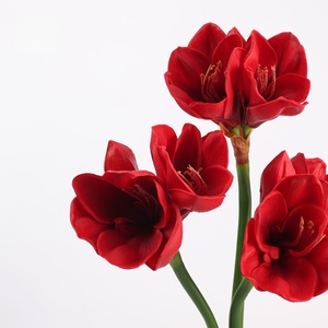 Amaryllis artificiel en latex de haute qualité S620, fleurs d'orchidée blanches et roses, 3 têtes, effet toucher réel - Product Image 1