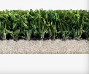 מזחלות משוקלל דשא מקורה חדר כושר ריצה דשא multitorsport דשא