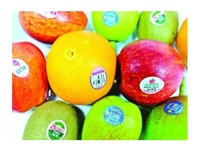 Étiquettes alimentaires personnalisées avec informations nutritionnelles, étiquettes d'emballage alimentaire personnalisées, étiquettes alimentaires personnalisées écologiques