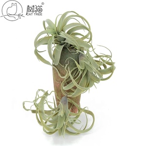 Planta artificial de hierba de plástico, alta calidad, precio de fábrica, para Decoración - Product Image 6