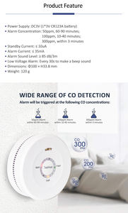 <span class=keywords><strong>Détecteur</strong></span> <span class=keywords><strong>de</strong></span> <span class=keywords><strong>monoxyde</strong></span> <span class=keywords><strong>de</strong></span> <span class=keywords><strong>carbone</strong></span> à piles au lithium 3V, 10 ans <span class=keywords><strong>de</strong></span> durée <span class=keywords><strong>de</strong></span> vie, pour la sécurité domestique - Product Image 4